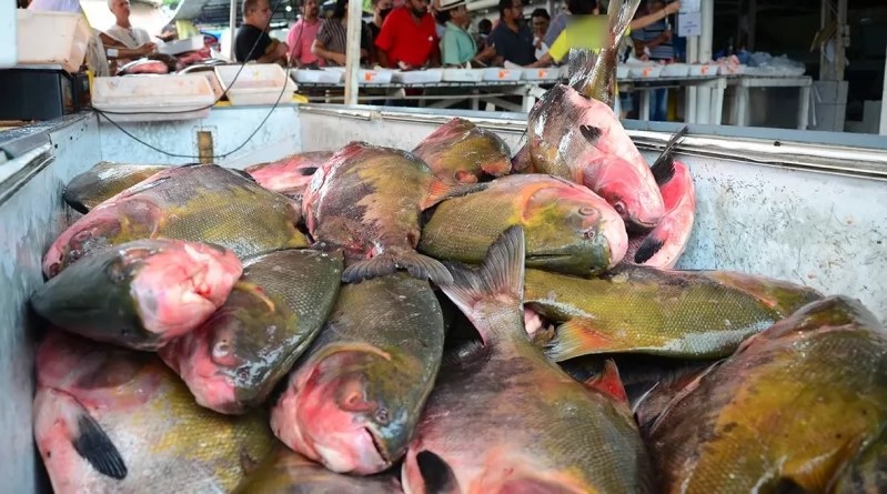 Peixe na Sexta-Feira Santa n&atilde;o &eacute; obriga&ccedil;&atilde;o: entenda o que a Igreja realmente orienta