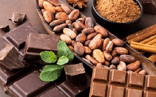 Muito al&eacute;m do chocolate: 7 benef&iacute;cios do cacau que podem surpreender voc&ecirc;